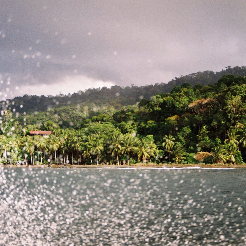 Instagram post from laroze__. This post is in position 13.