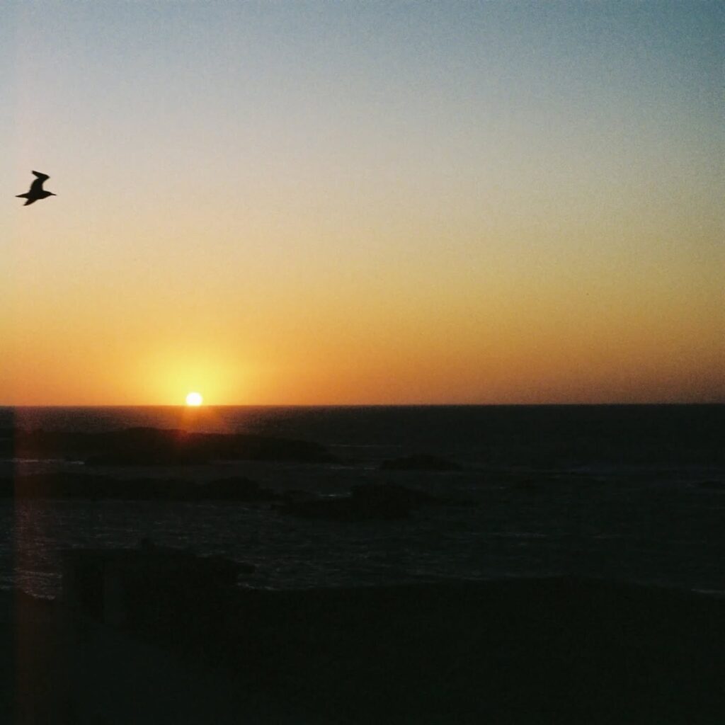 Instagram post from laroze__. This post is in position 8.