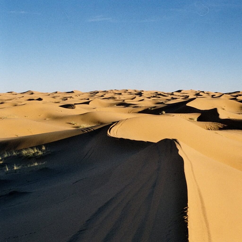 Instagram post from laroze__. This post is in position 16.