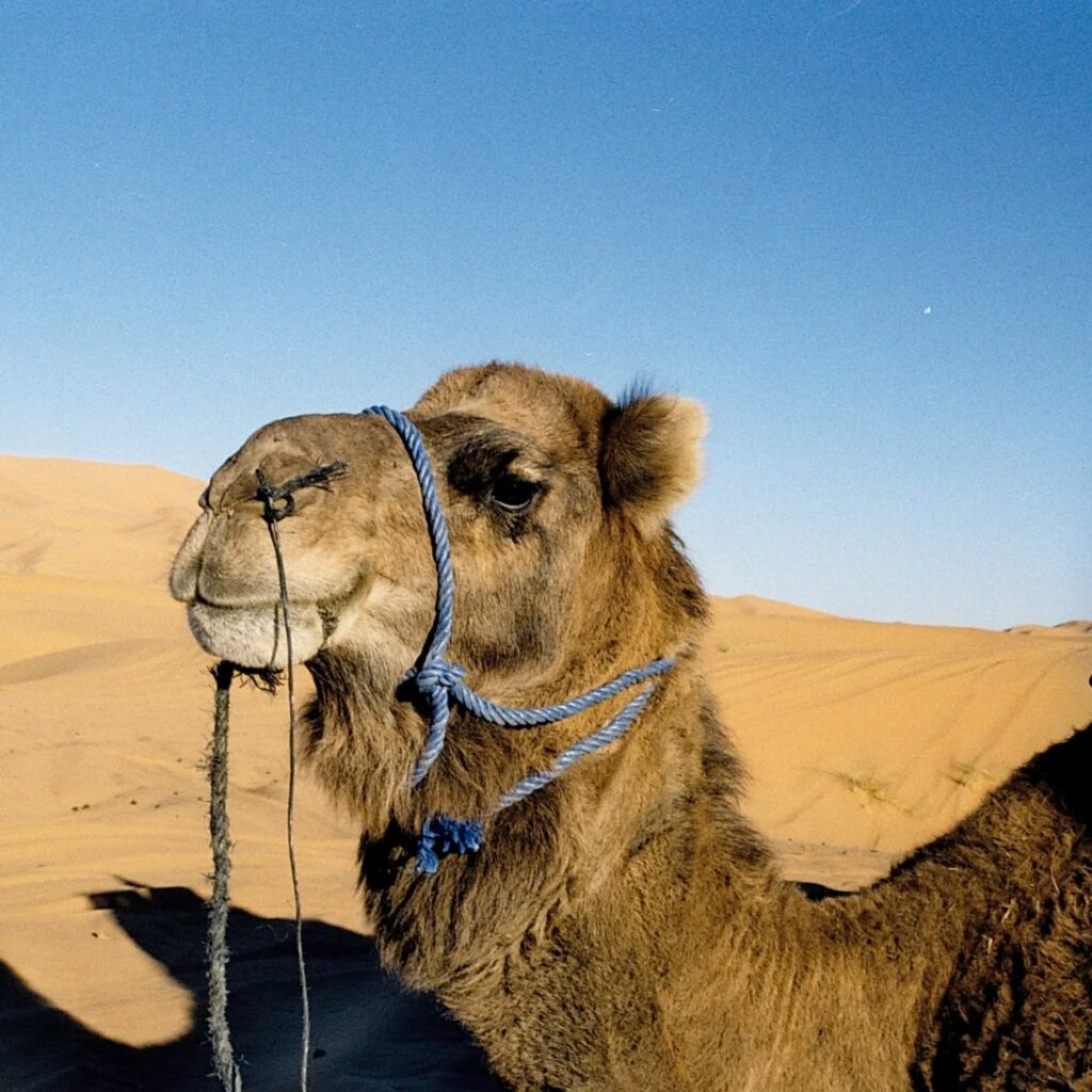 Instagram post from laroze__. This post is in position 1.