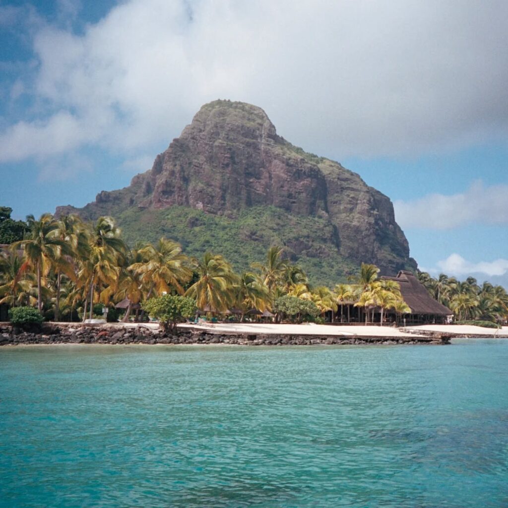 Instagram post from laroze__. This post is in position 8.