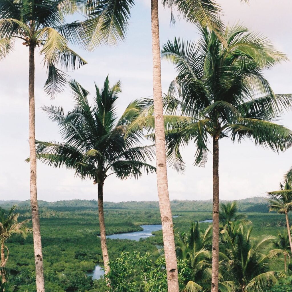 Instagram post from laroze__. This post is in position 8.