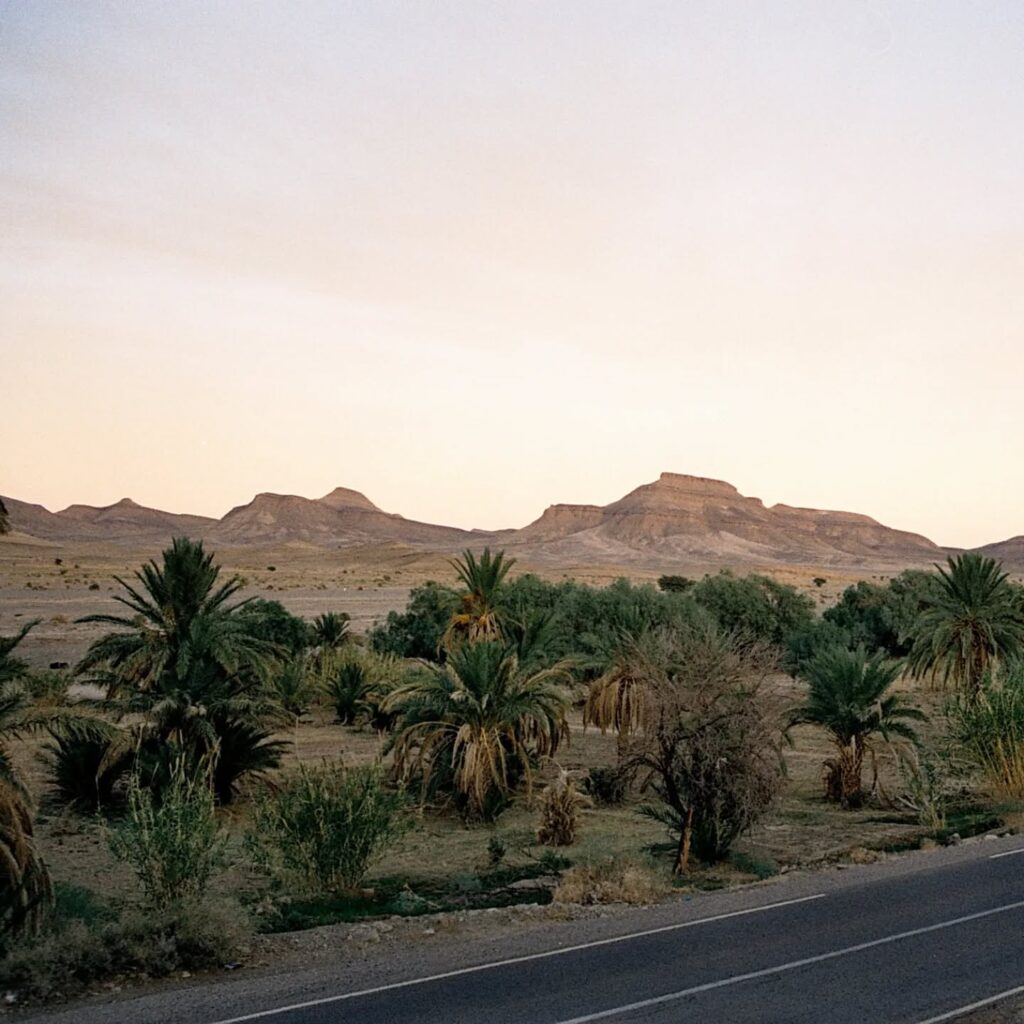 Instagram post from laroze__. This post is in position 9.