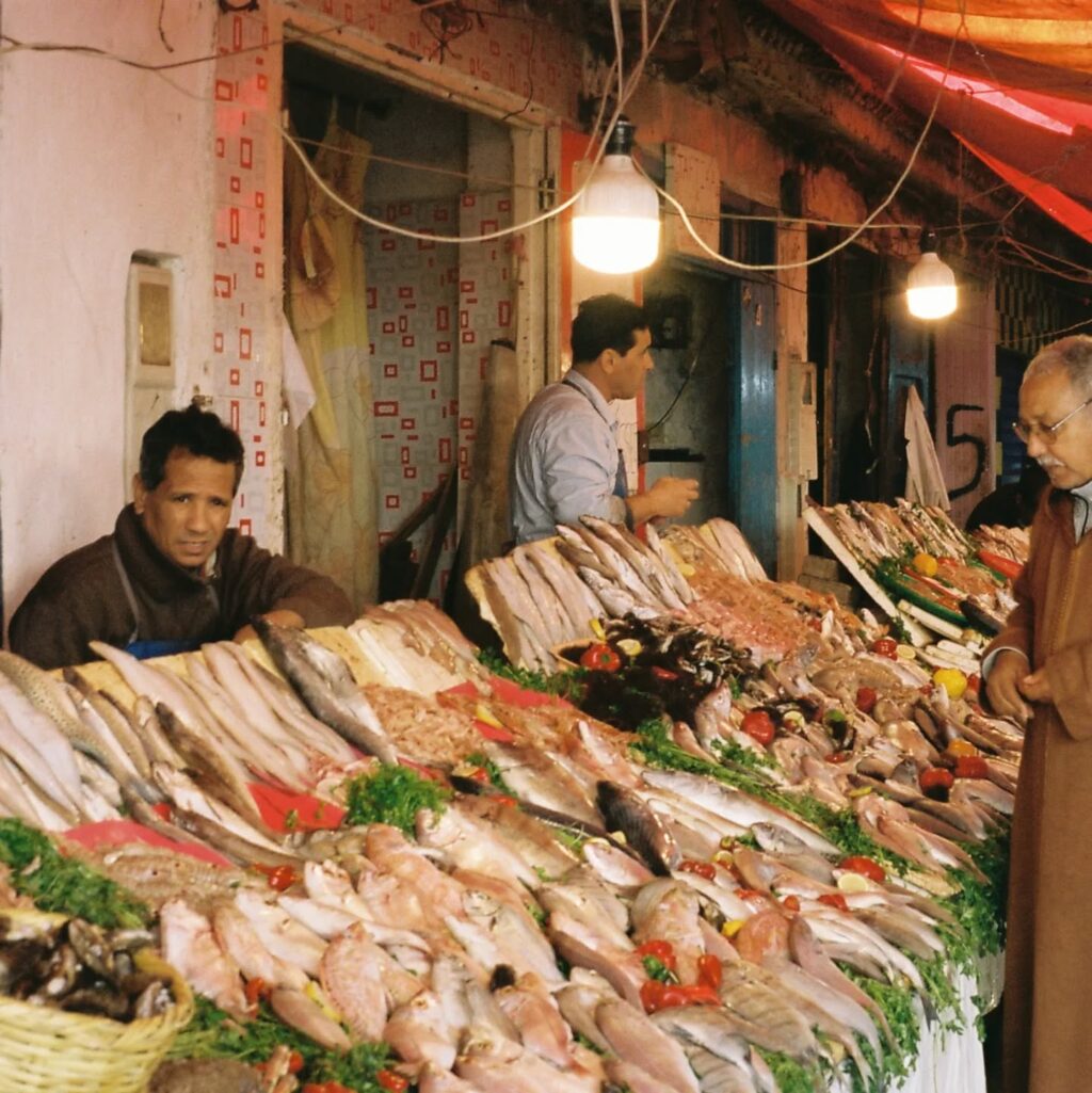 Instagram post from laroze__. This post is in position 13.