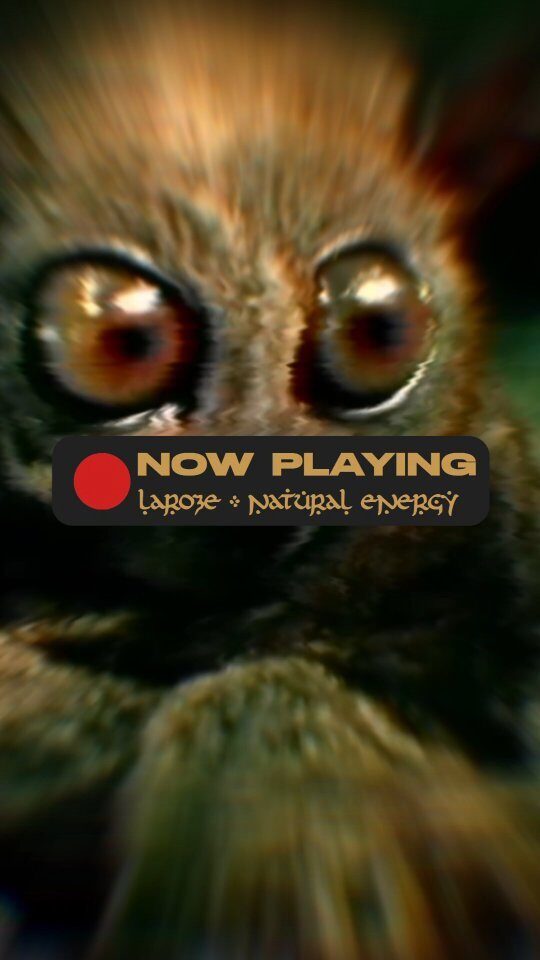 Instagram post from laroze__. This post is in position 14.