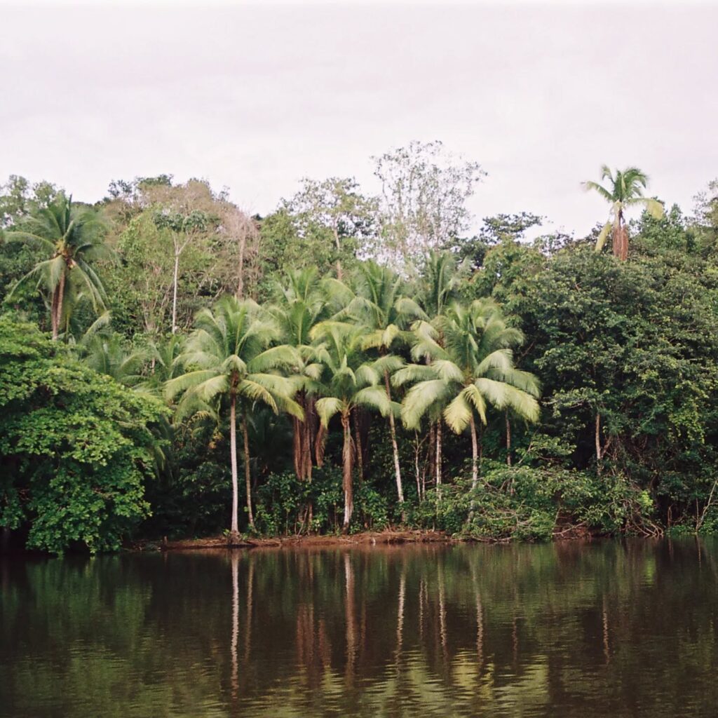 Instagram post from laroze__. This post is in position 5.