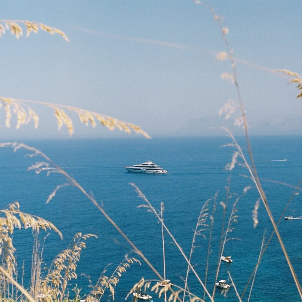 Instagram post from laroze__. This post is in position 1.