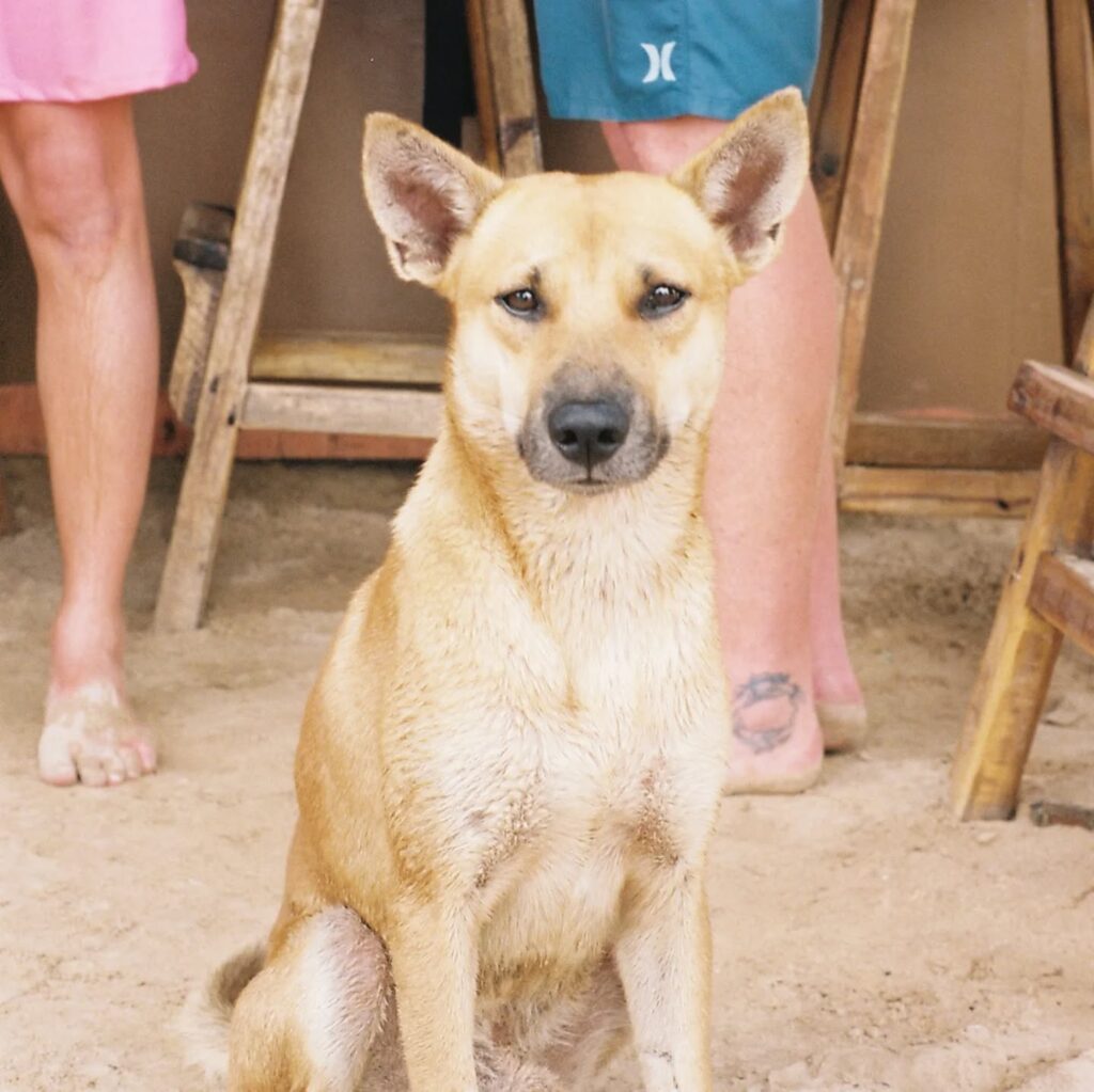 Instagram post from laroze__. This post is in position 4.