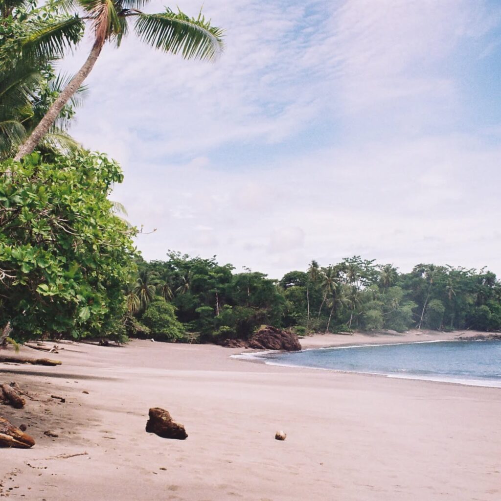 Instagram post from laroze__. This post is in position 15.