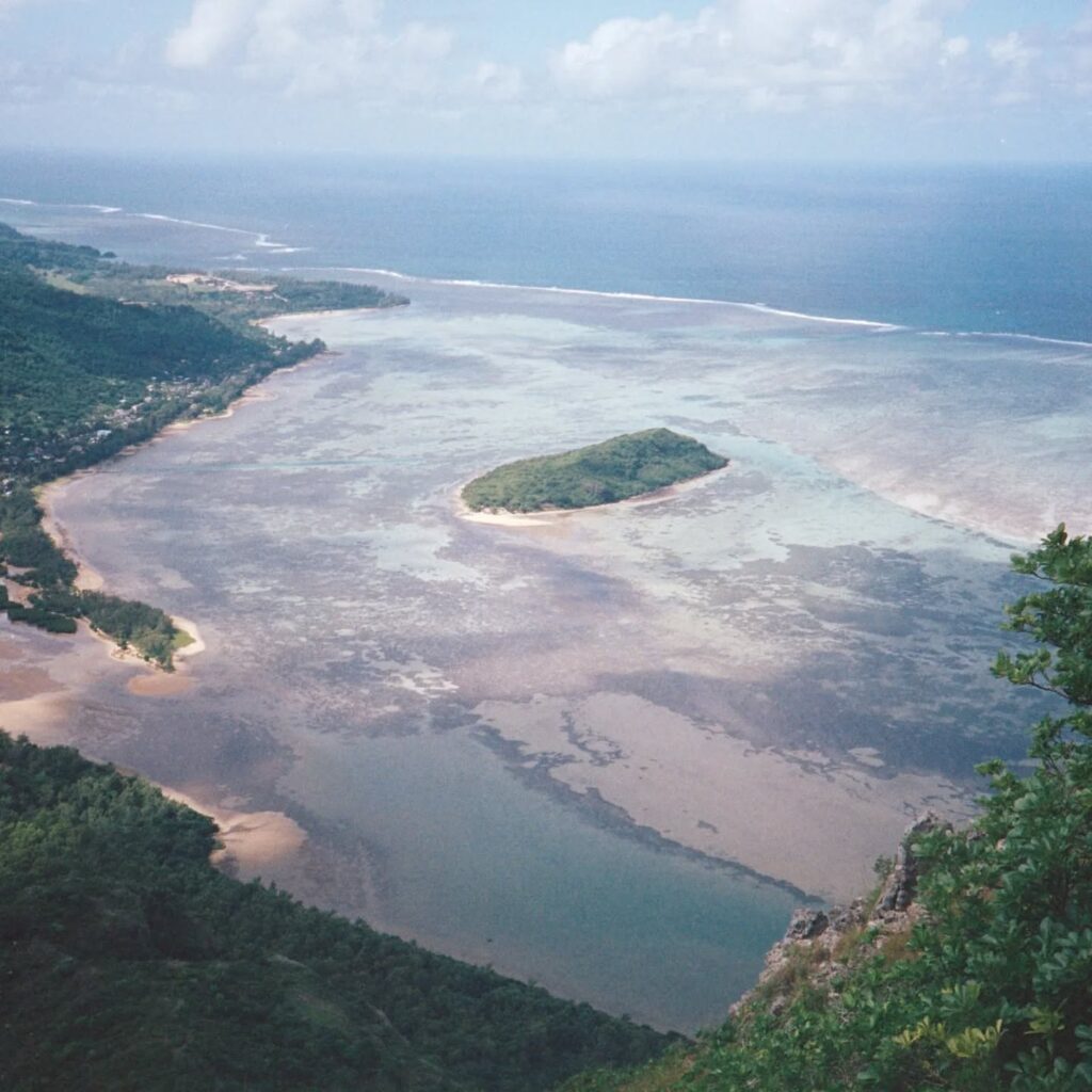 Instagram post from laroze__. This post is in position 13.