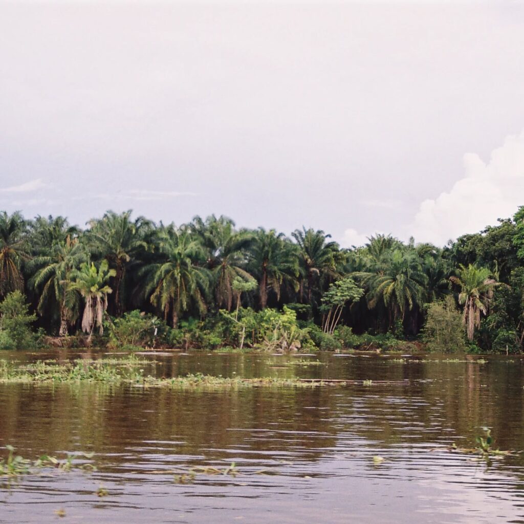 Instagram post from laroze__. This post is in position 12.