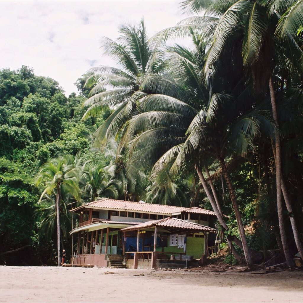 Instagram post from laroze__. This post is in position 18.