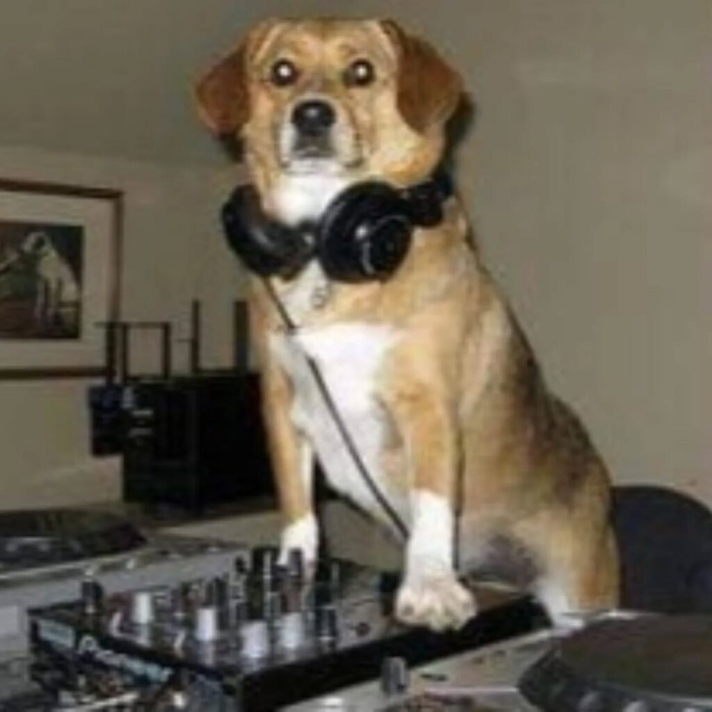 Instagram post from laroze__. This post is in position 9.