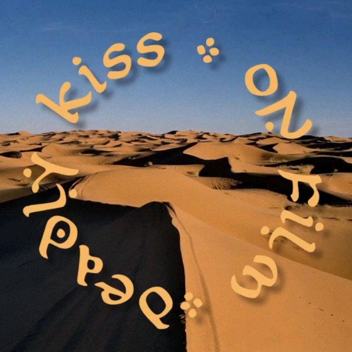 Instagram post from laroze__. This post is in position 0.