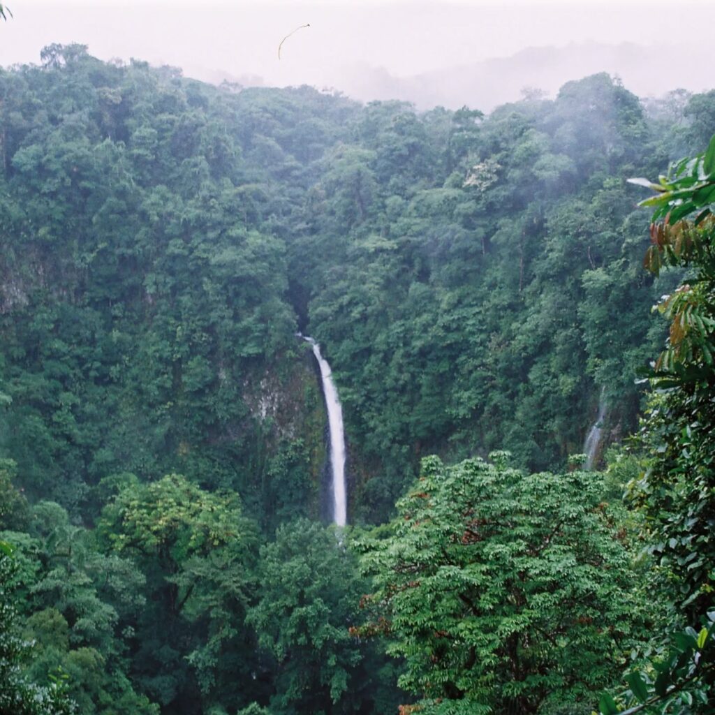 Instagram post from laroze__. This post is in position 19.