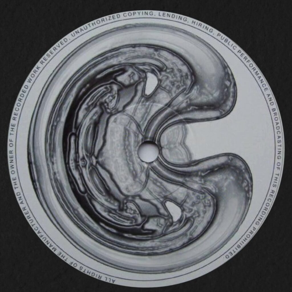 Instagram post from laroze__. This post is in position 5.