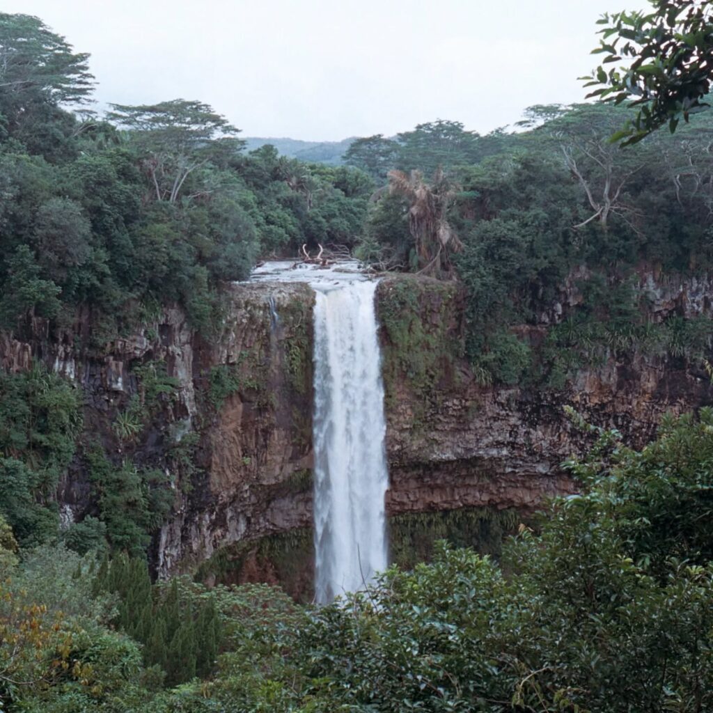 Instagram post from laroze__. This post is in position 6.