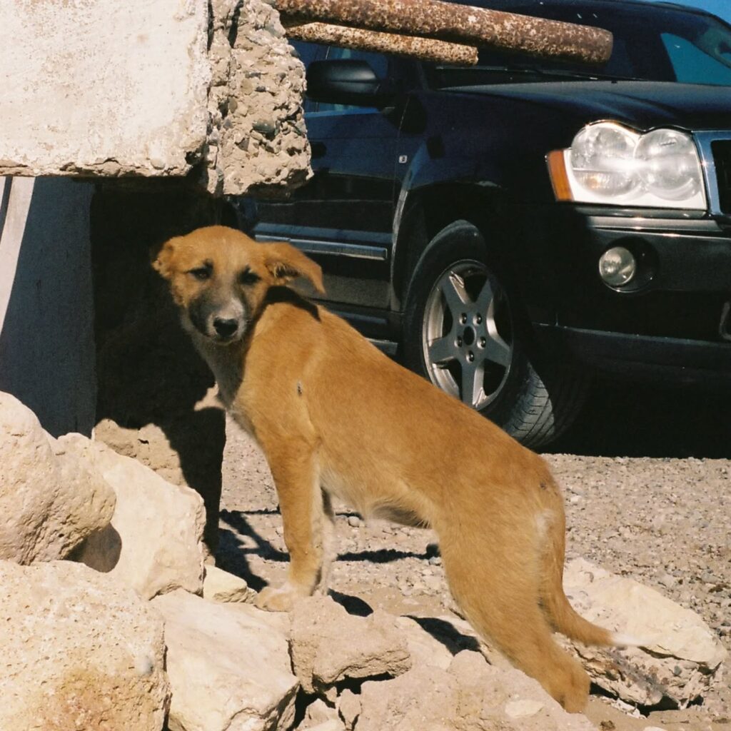 Instagram post from laroze__. This post is in position 3.