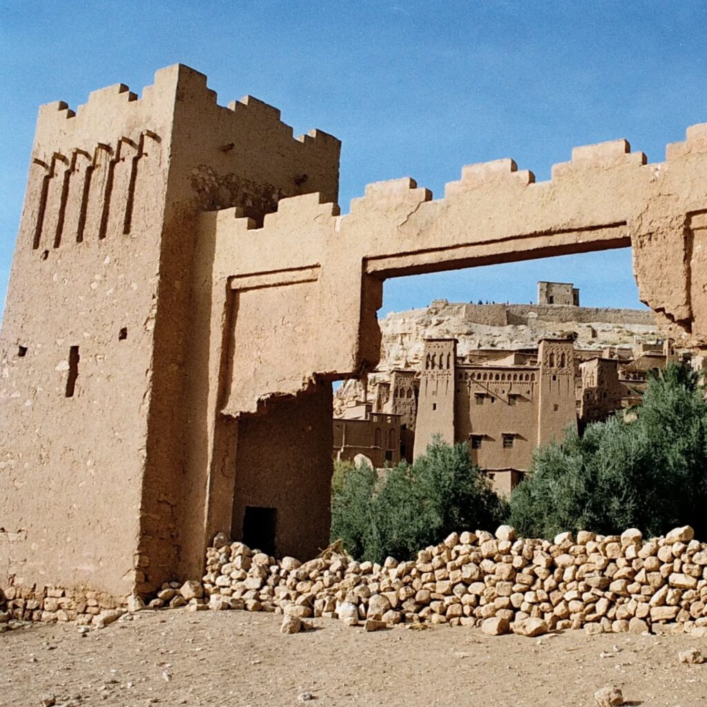 Instagram post from laroze__. This post is in position 5.