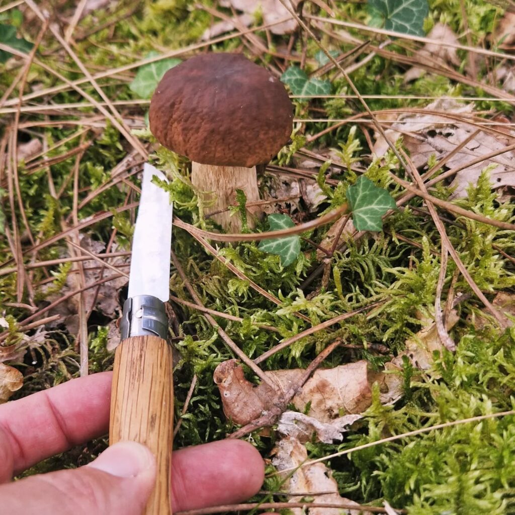 Instagram post from laroze__. This post is in position 7.