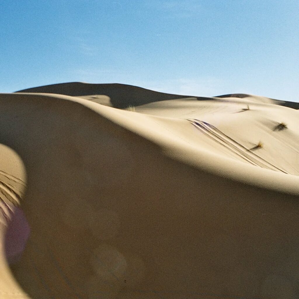 Instagram post from laroze__. This post is in position 15.