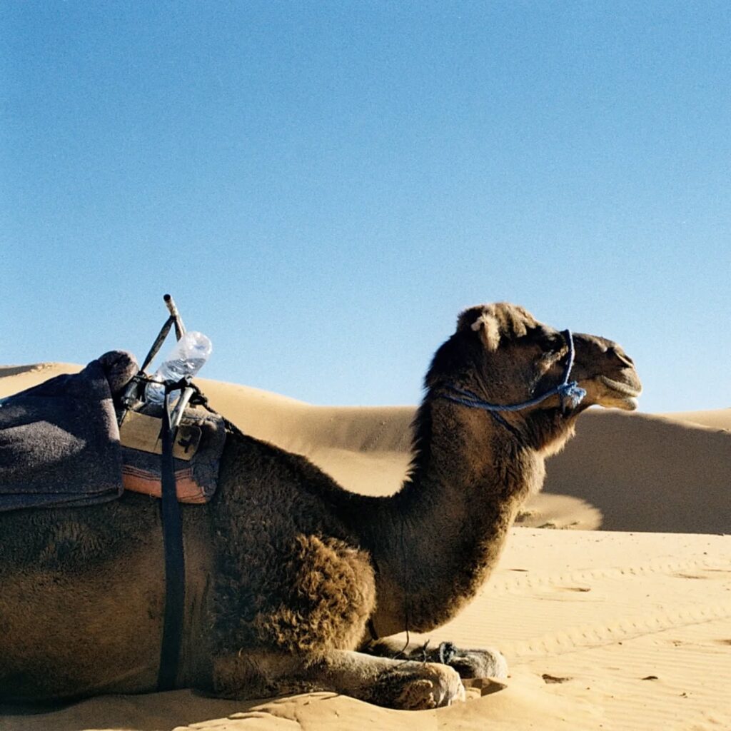 Instagram post from laroze__. This post is in position 11.