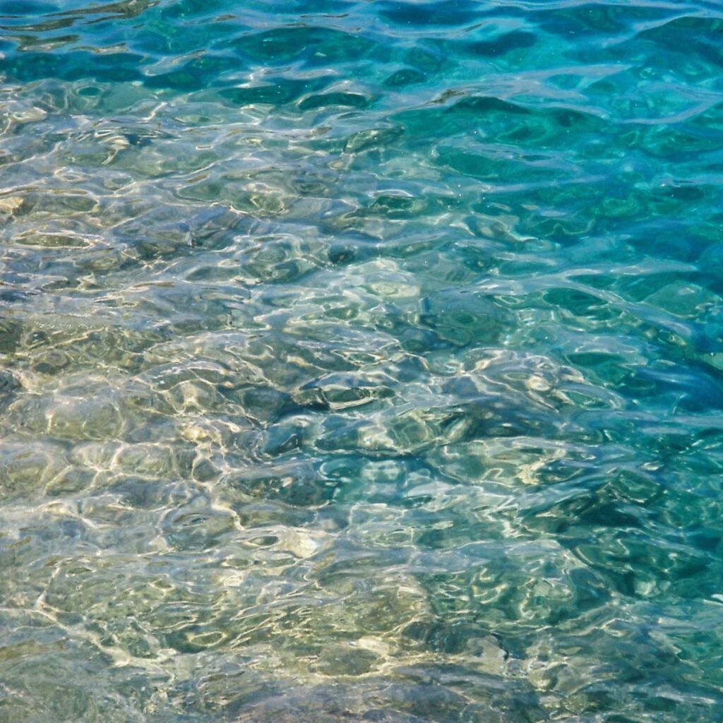 Instagram post from laroze__. This post is in position 5.