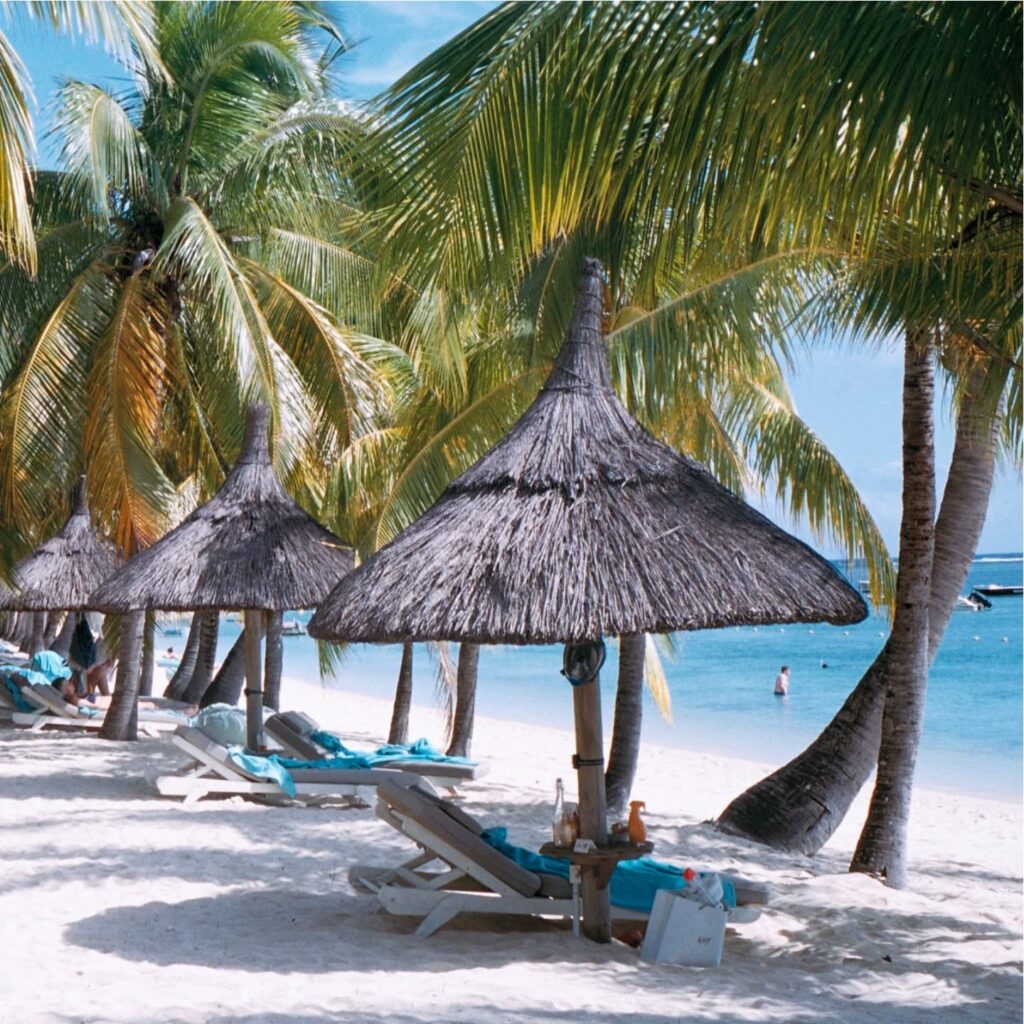 Instagram post from laroze__. This post is in position 4.