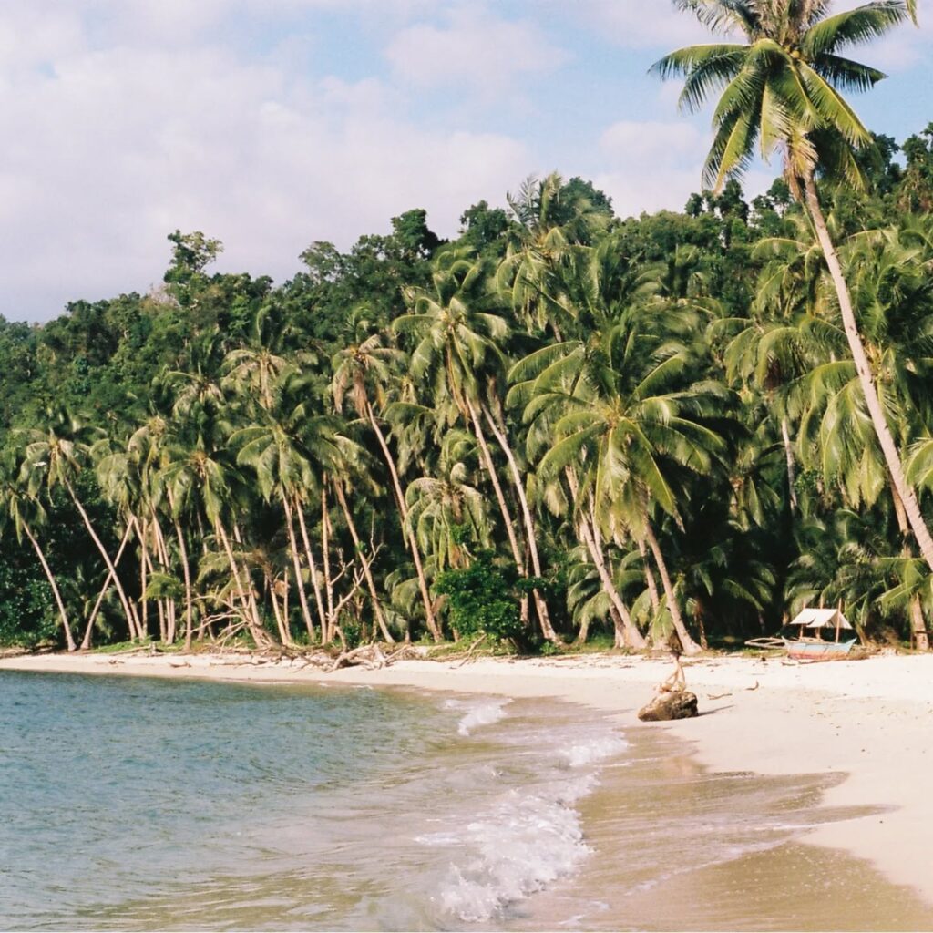 Instagram post from laroze__. This post is in position 9.